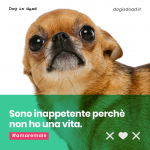 Sono inappetente perchè non ho una vita.
