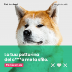 Pettorina, trappola mortale