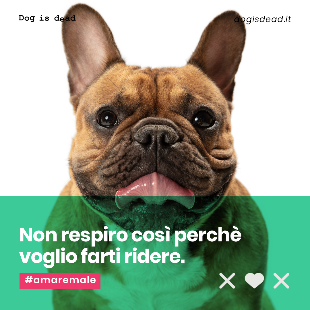 You are currently viewing Non respiro così perchè voglio farti ridere!